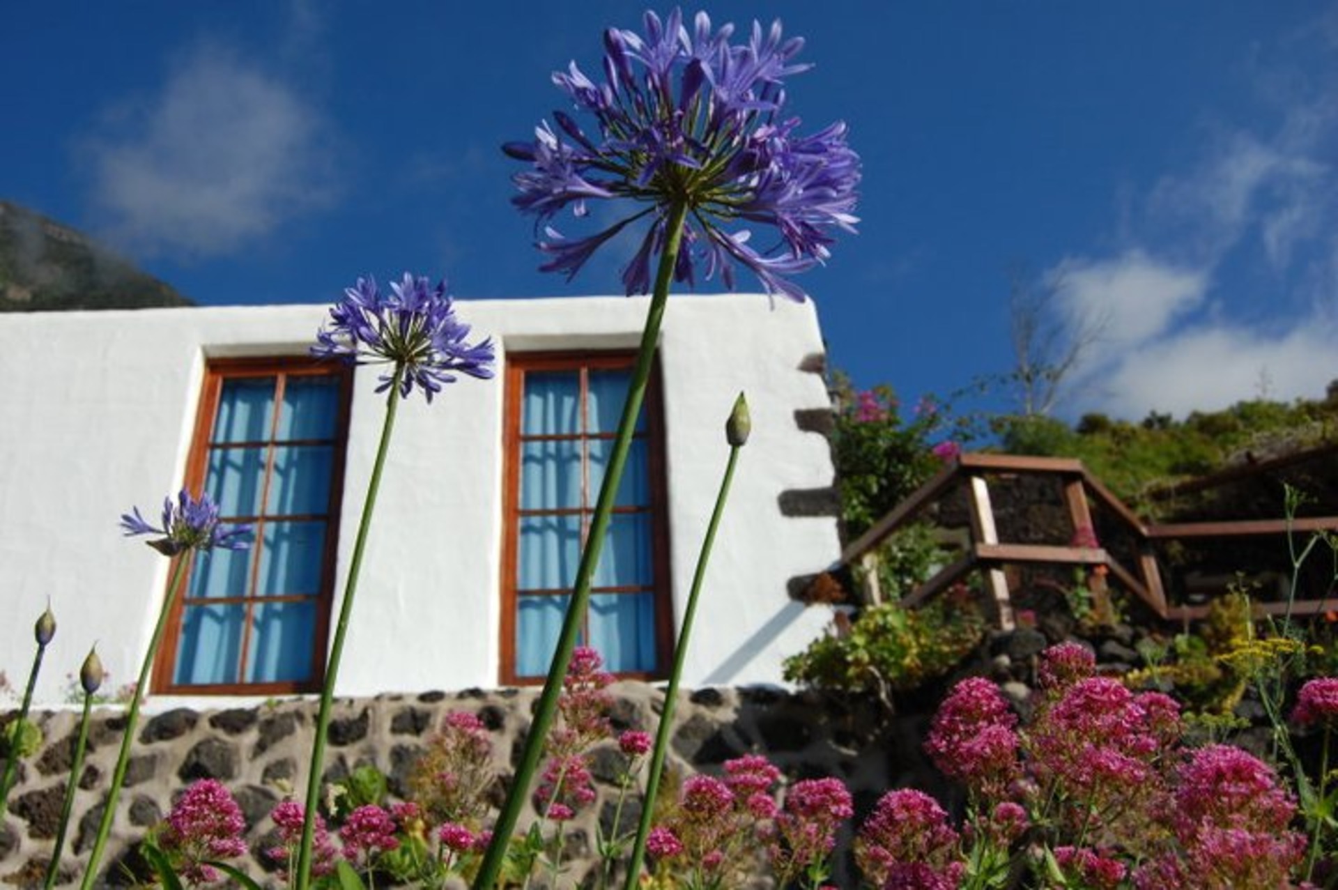 varwwwvhostsaviratodesign.comelsitio elhierro.es .aviratodesign.comwp contentuploads37 2.jpg