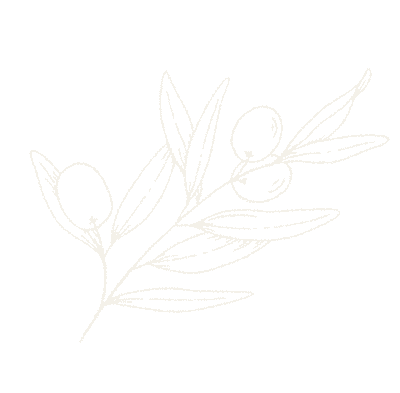 Hoja olivo2